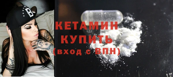 прущие грибы Михайлов