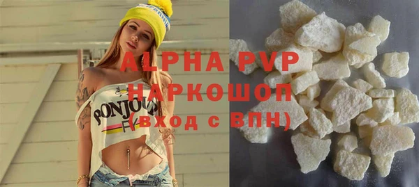 прущие грибы Михайлов