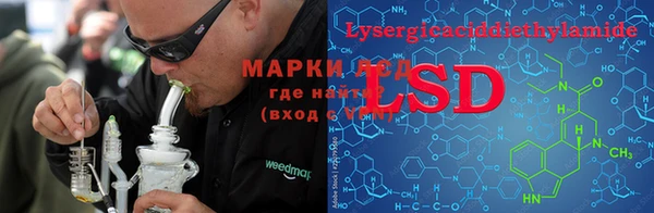 прущие грибы Михайлов