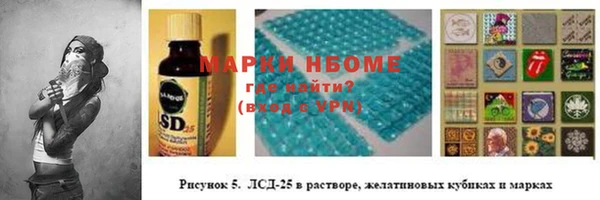 прущие грибы Михайлов