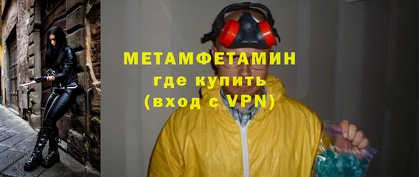 прущие грибы Михайлов