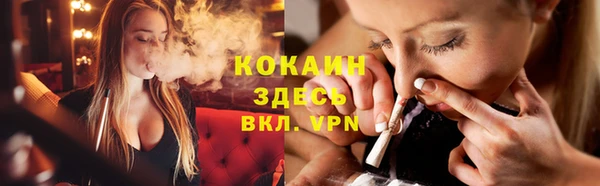 прущие грибы Михайлов