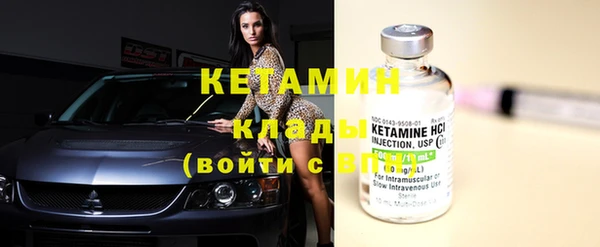 прущие грибы Михайлов