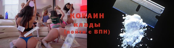 стаф Михайловск