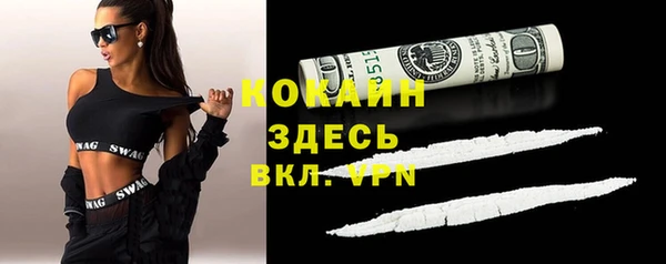 прущие грибы Михайлов