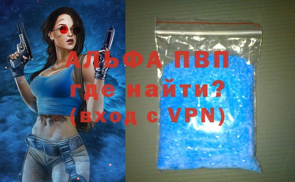 стаф Михайловск