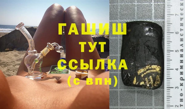 прущие грибы Михайлов