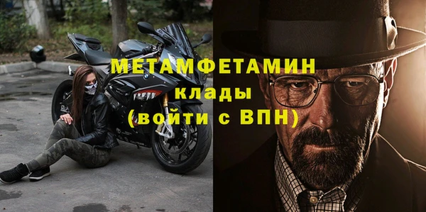 прущие грибы Михайлов
