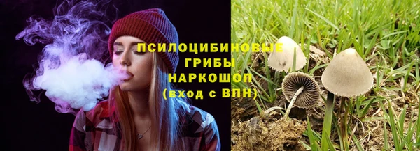 стаф Михайловск
