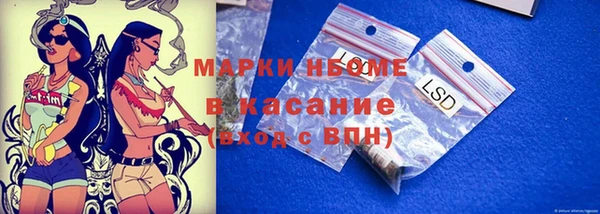 индика Орехово-Зуево