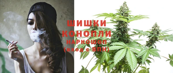 стаф Михайловск